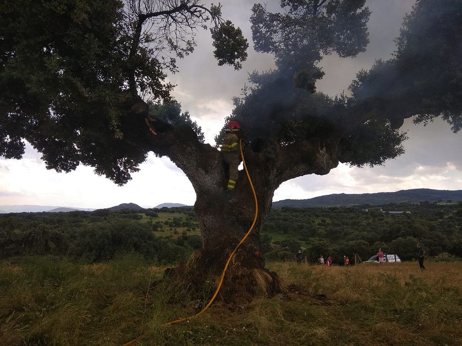 Intervención de los bomberos de Guijuelo en Guijo de Ávila - Bomberos Guijuelo