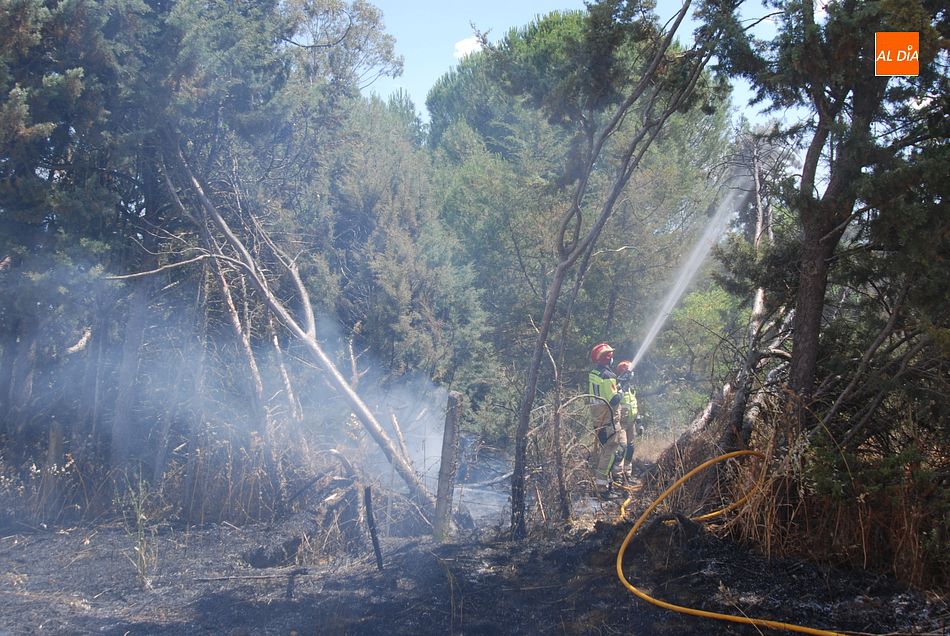 Foto 5 - Las llamas se quedan a sólo dos metros de una vivienda en un incendio en las Huertas de Santa Cruz ...
