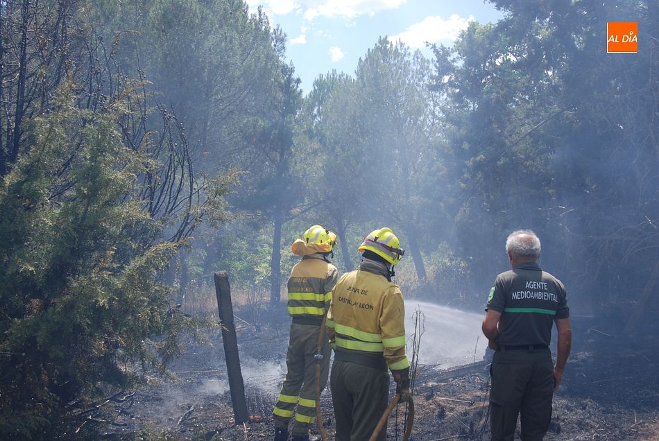 Foto 6 - Las llamas se quedan a sólo dos metros de una vivienda en un incendio en las Huertas de Santa Cruz ...