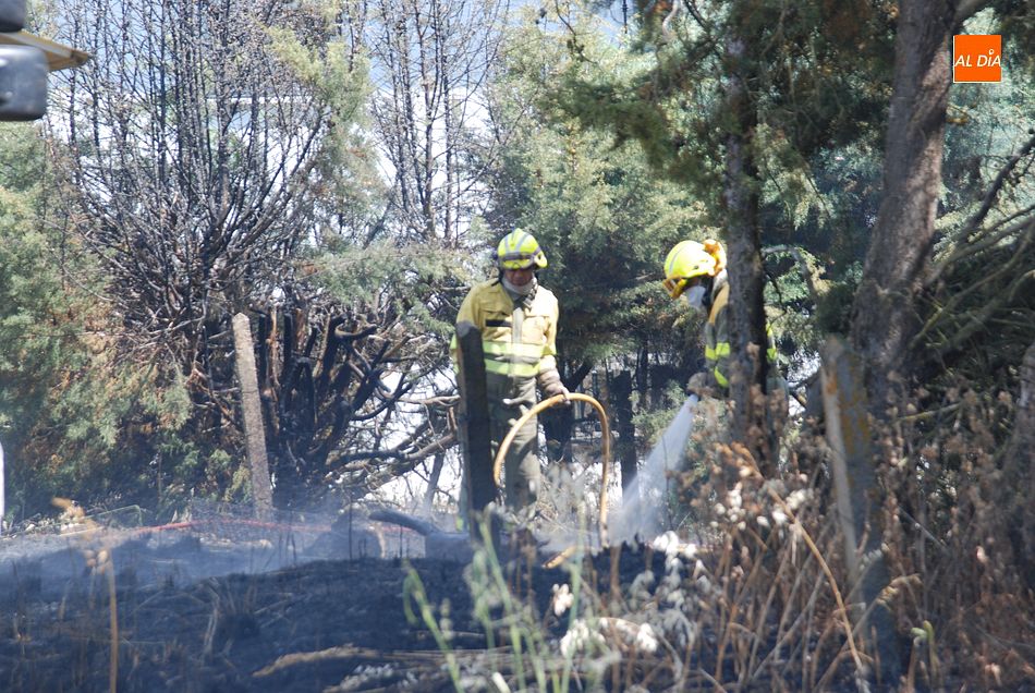 Foto 2 - Las llamas se quedan a sólo dos metros de una vivienda en un incendio en las Huertas de Santa Cruz ...