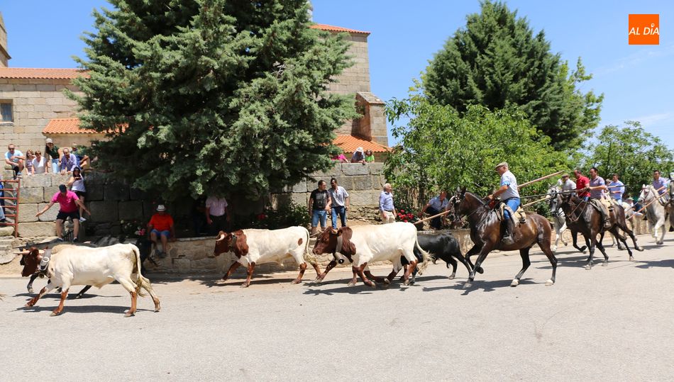 Encierro a caballo de Bogajo de las fiestas 2019 / CORRAL
