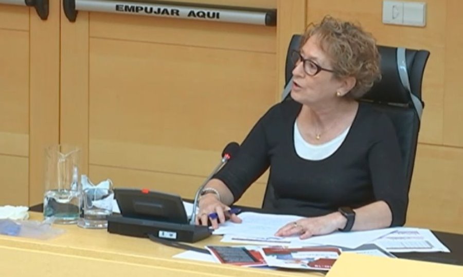 La procuradora del PSOE en las Cortes Isabel Gonzalo. Foto Cortes CyL