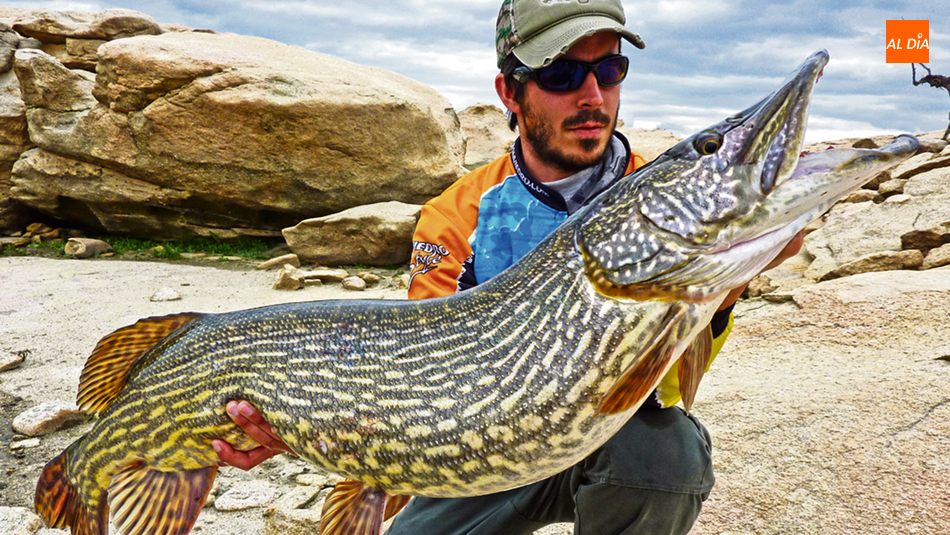 Marcos Elena, guía de pesca de la empresa bofishing.es con algunos de los ejemplares