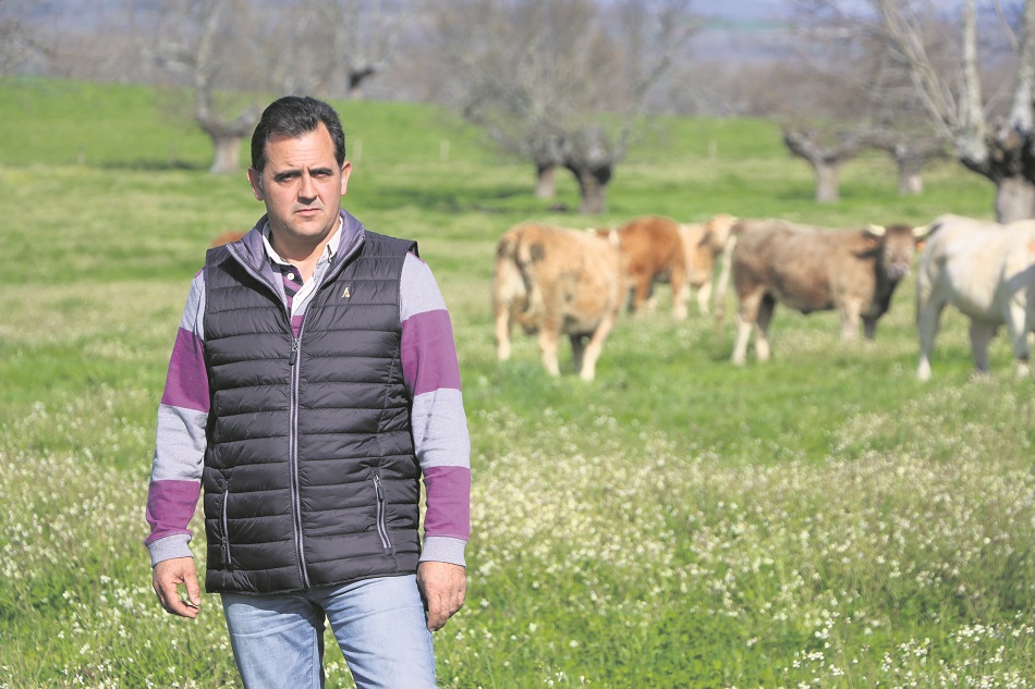 Juan Luis Delgado, ganadero de vacuno extensivo y presidente de Asaja Salamanca | Foto: Miguel Corral