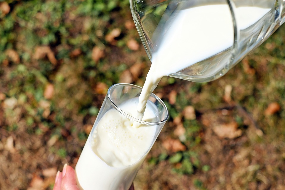 Foto 1 - Estudio realizado por Universidad de Córdoba afirma que la leche de vaca podría inactivar el...
