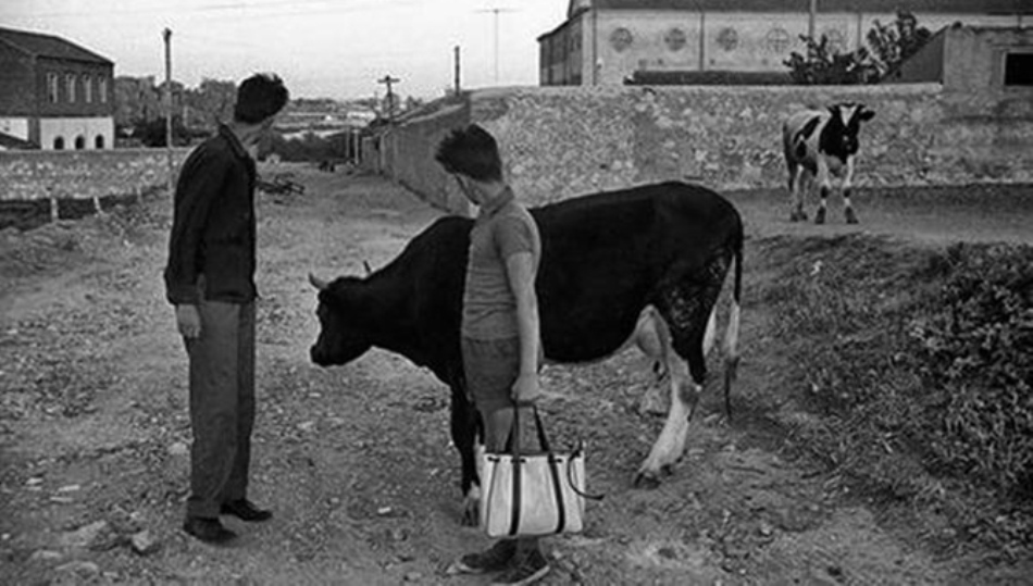 Foto 1 - El Camino de las Aguas en la Salamanca de la posguerra