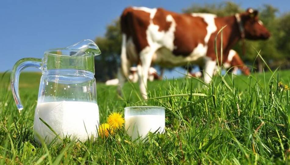 Foto 1 - El consumo habitual de leche no aumenta los niveles de colesterol, según un nuevo estudio 