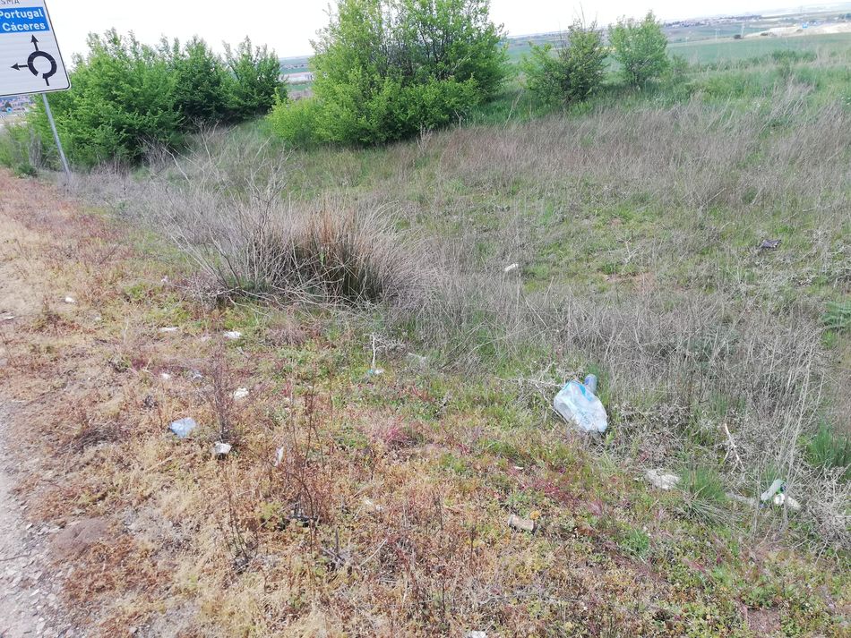 Un v&iacute;deo en redes sociales denuncia la gran cantidad de basura entre Villamayor y Salamanca