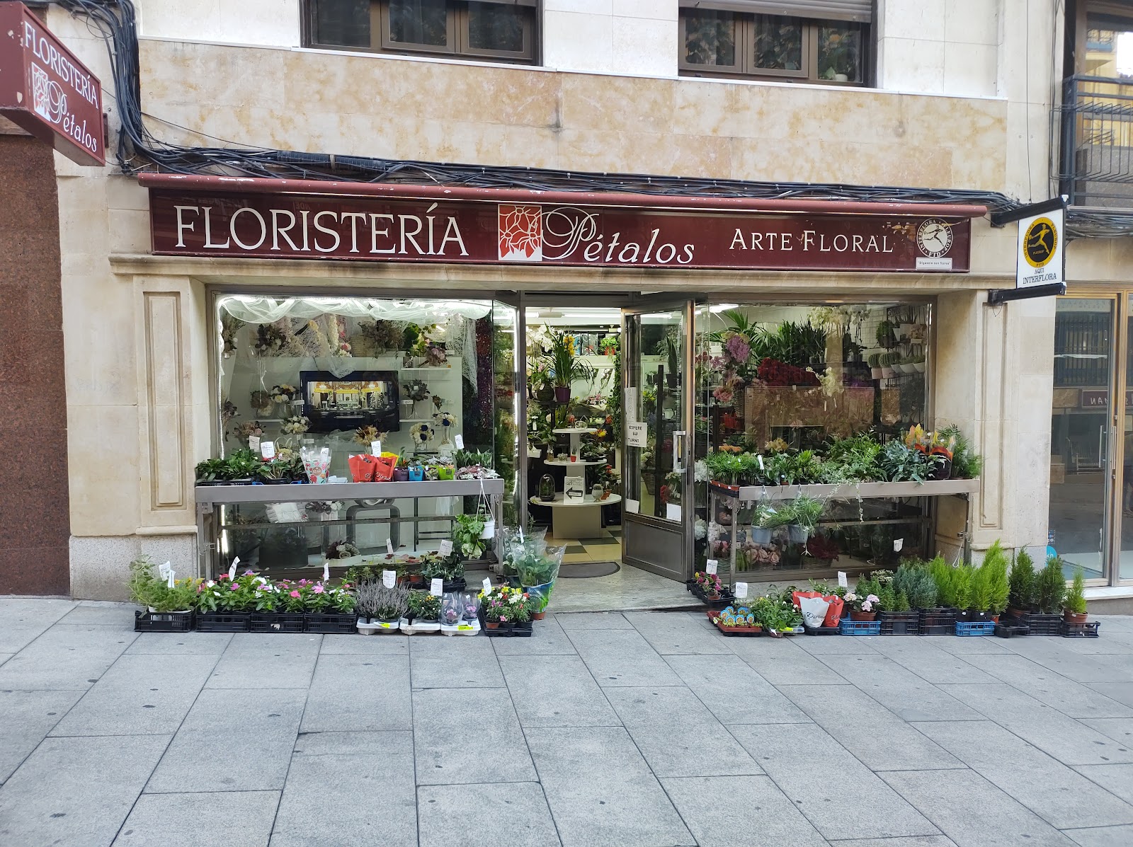 Floristería Pétalos