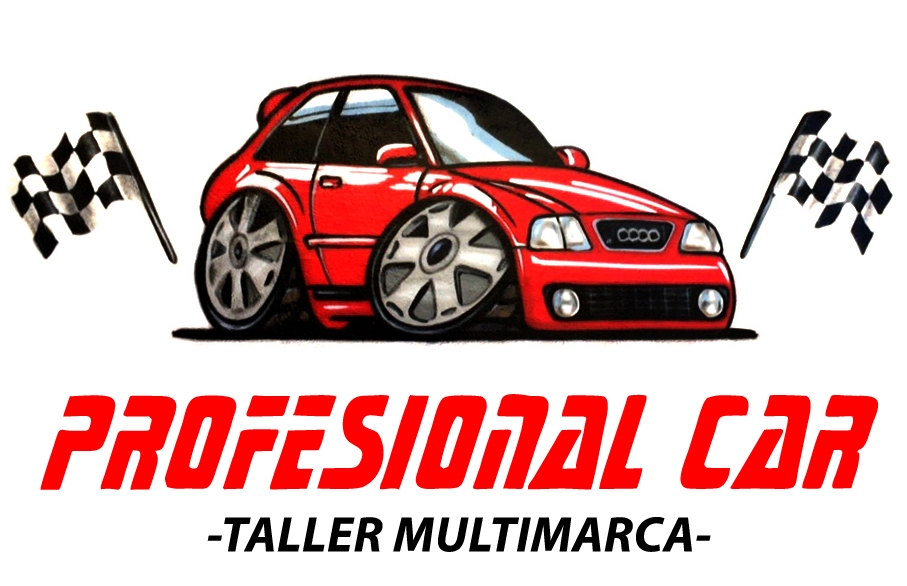 Profesional Car