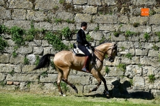 Charrada mañana Ciudad Rodrigo