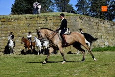 Charrada mañana Ciudad Rodrigo