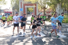 Galería de imágenes / Fotos: David Sañudo