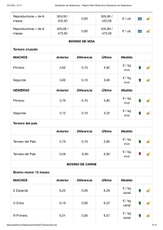 Foto 8 - El vacuno alcanza nuevo récord de precios, el mercado de ganado se recupera y el cereal permanece inmóvil