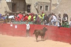 Animada capea de vaquillas en Yecla de Yeltes / CORRAL