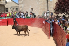 Animada capea de vaquillas en Yecla de Yeltes / CORRAL