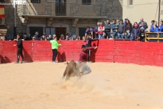 Animada capea de vaquillas en Yecla de Yeltes / CORRAL