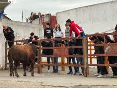 Foto 6 - Bravura, quiebros y emoci&oacute;n en el Toro del Voto de Villor&iacute;a