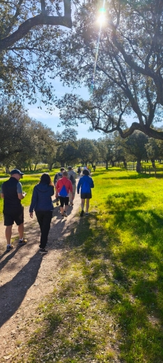Foto 6 - Alrededor de cien andarines descubren los parajes de Campillo de Azaba