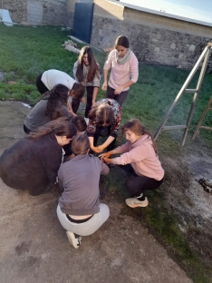 Matanza tradicional en Valderrodrigo