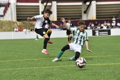 Galería de imágenes / Fotos: SALAMANCArtv AL DÍA