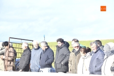 Semifinal del Bolsín en finca Alvarillo