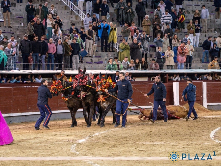 El ganadero de Pedraza de Yeltes habla sobre 'Brigadier': &quot;Tuvo una entrega infinita y un motor Ferrari dentro&quot; | Imagen 2