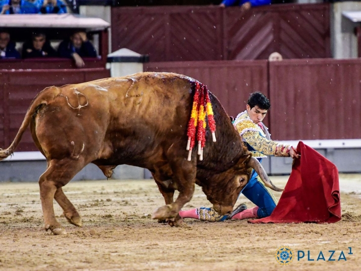El ganadero de Pedraza de Yeltes habla sobre 'Brigadier': &quot;Tuvo una entrega infinita y un motor Ferrari dentro&quot; | Imagen 1