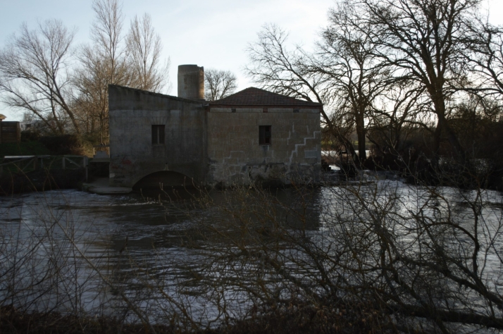 Villamayor: 60 kilómetros de senderos por descubrir en el corazón de La Armuña a minutos de Salamanca | Imagen 1