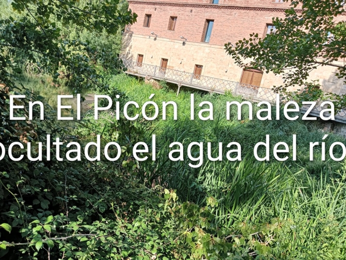 Carta abierta a la Confederación Hidrográfica del Duero | Imagen 5