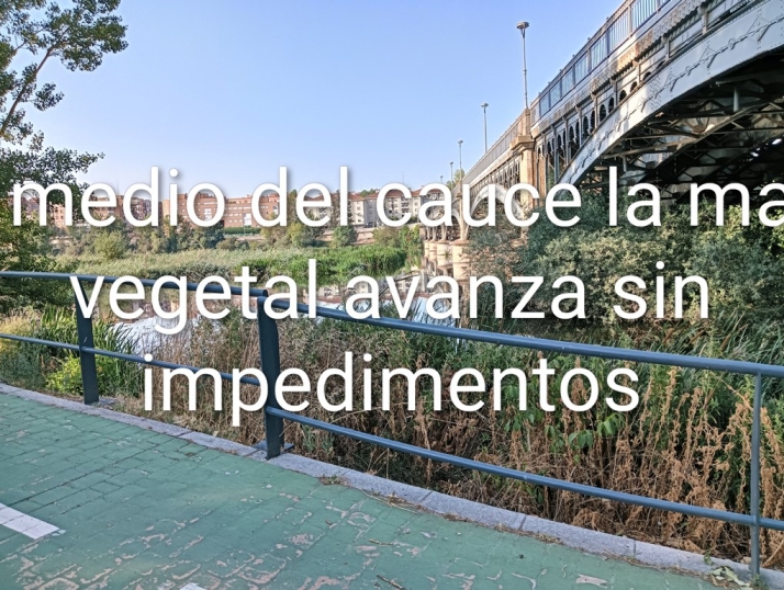 Carta abierta a la Confederación Hidrográfica del Duero | Imagen 3