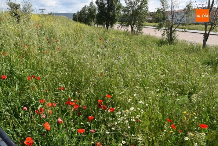 El 3&ordm; D&iacute;a | 12 Mayo | Imagen 9