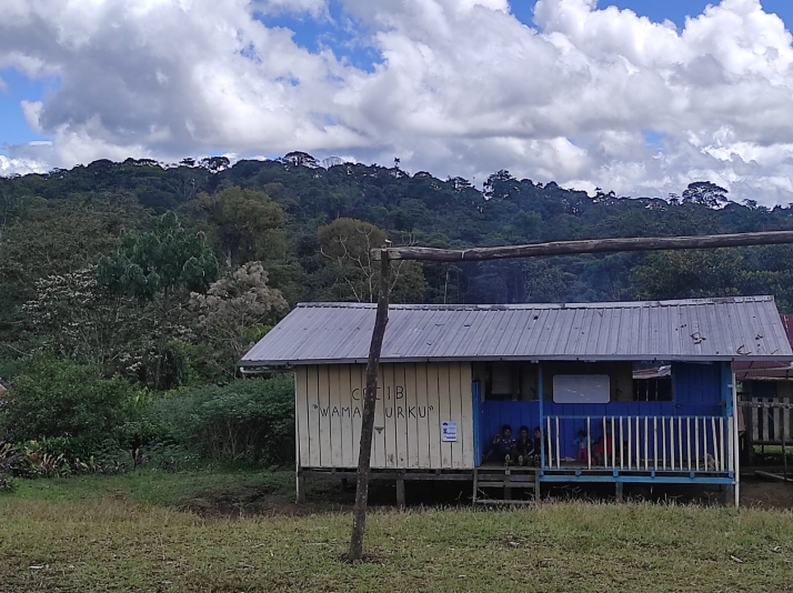 El voluntariado de la salmantina Elena Palacios en Ecuador: tres semanas en la selva amaz&oacute;nica | Imagen 1