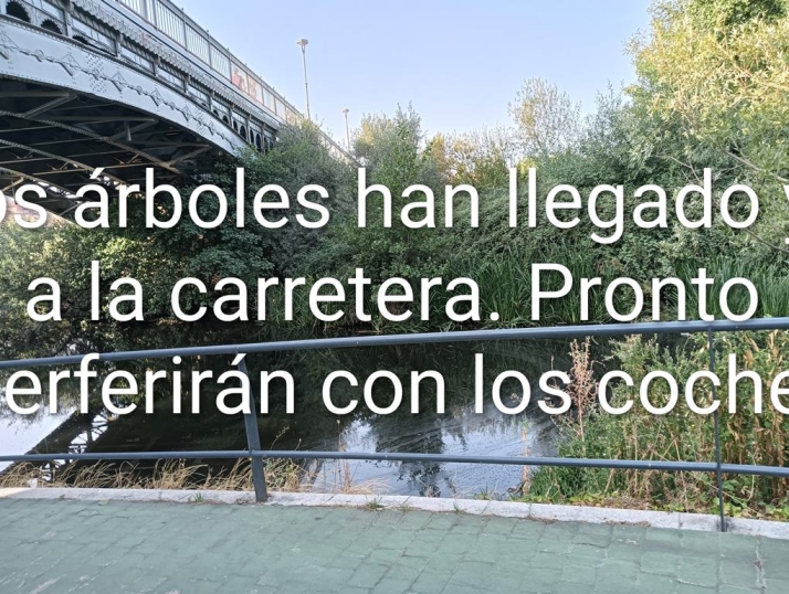 Carta abierta a la Confederación Hidrográfica del Duero | Imagen 4