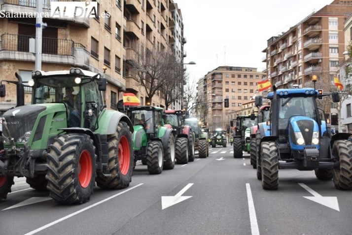 &iquest;Qu&eacute; pas&oacute; en Salamanca capital en 2024?  | Imagen 2