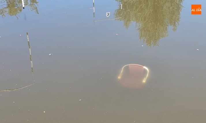 Arrojada al canal de La Concha una silla de terraza | Imagen 1