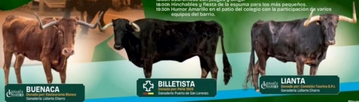 Pipe Martín pregonará las fiestas del Barrio Nuevo, que tendrán una competición de Humor Amarillo | Imagen 1