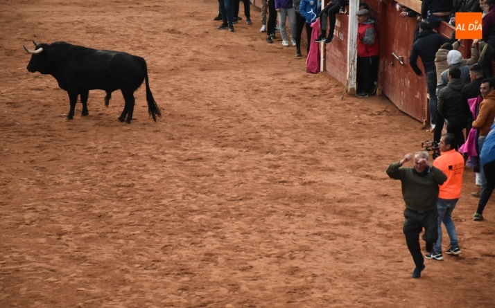 Las &uacute;ltimas miradas y sonidos del Carnaval del Toro 2023 | Imagen 56