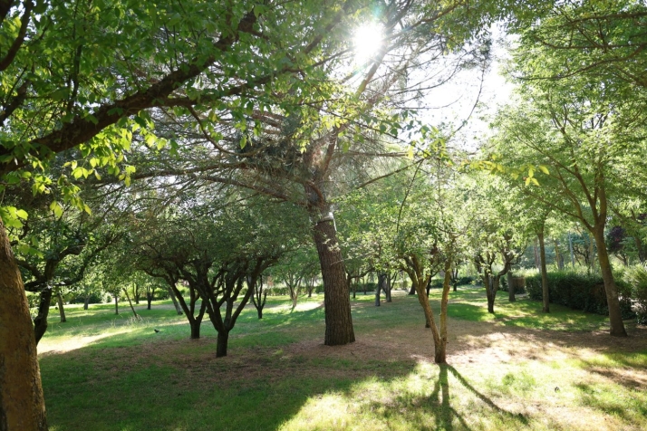 La gran transformaci&oacute;n verde y urbana que redibuja Salamanca | Imagen 3