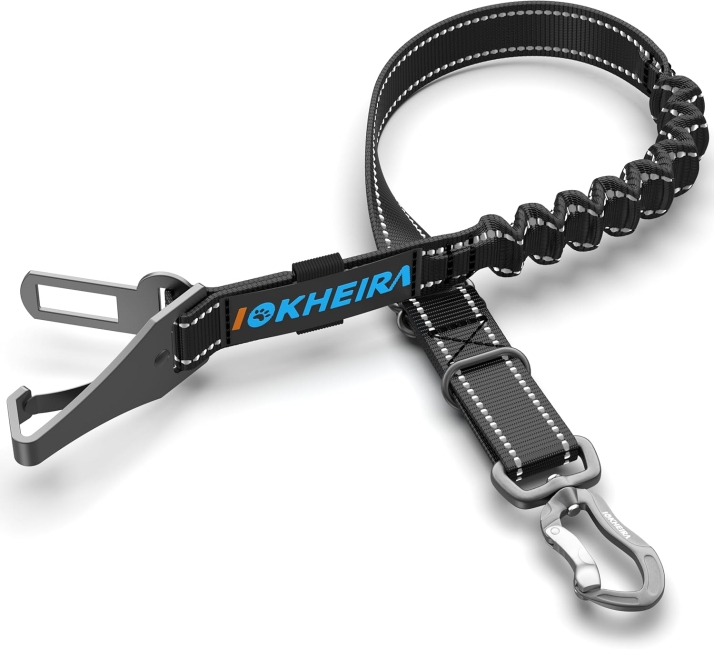 Productos top para viajar con tu perro este verano  | Imagen 3