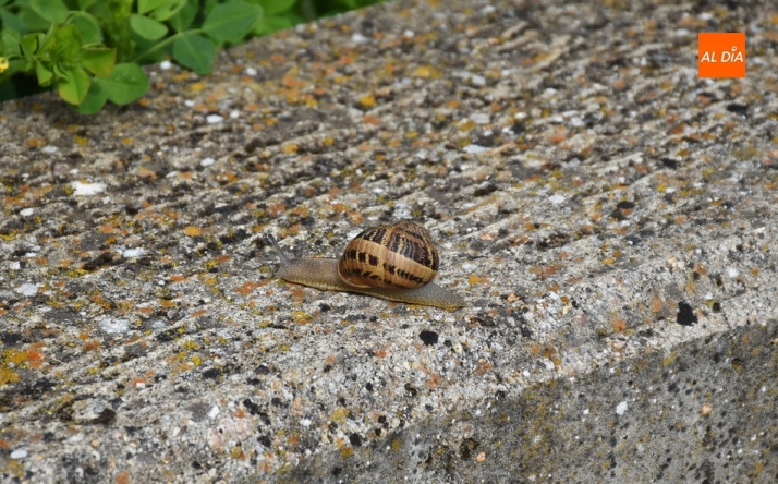 El 3&ordm; D&iacute;a | 12 Mayo | Imagen 11