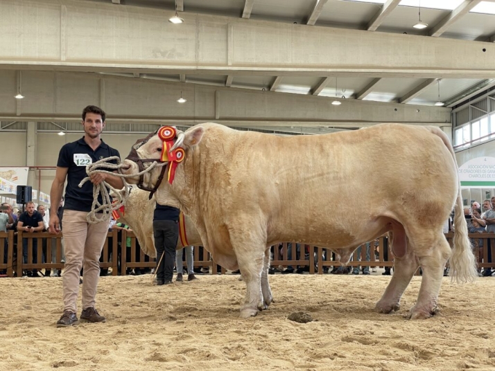 &Aacute;ngel Bravo, el joven ganadero salmantino que lleva a la &eacute;lite al charol&eacute;s | Imagen 1