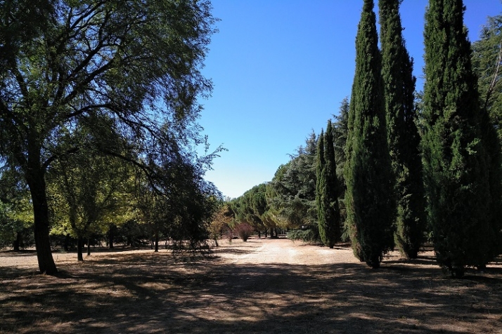 Se acerca el calor. | Imagen 8