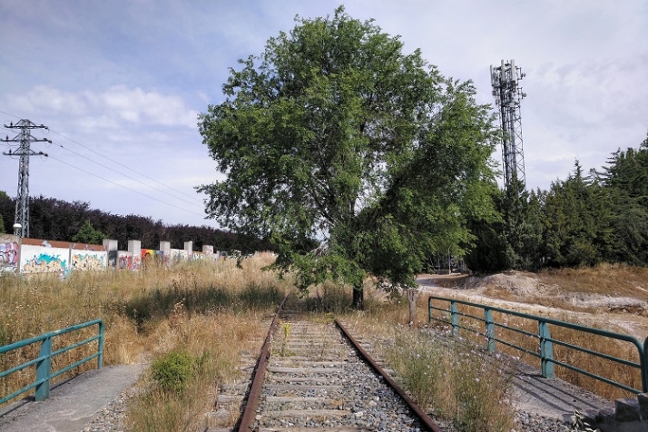 Suma y sigue la verde metamorfosis | Imagen 8