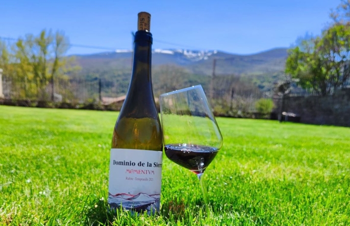 De 3.000 a 18.000 botellas: la bodega que recupera el legado del vino en la Sierra de Francia | Imagen 1