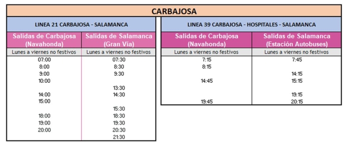 Estos son los autobuses de Salamanca afectados por la huelga de conductores | Imagen 1