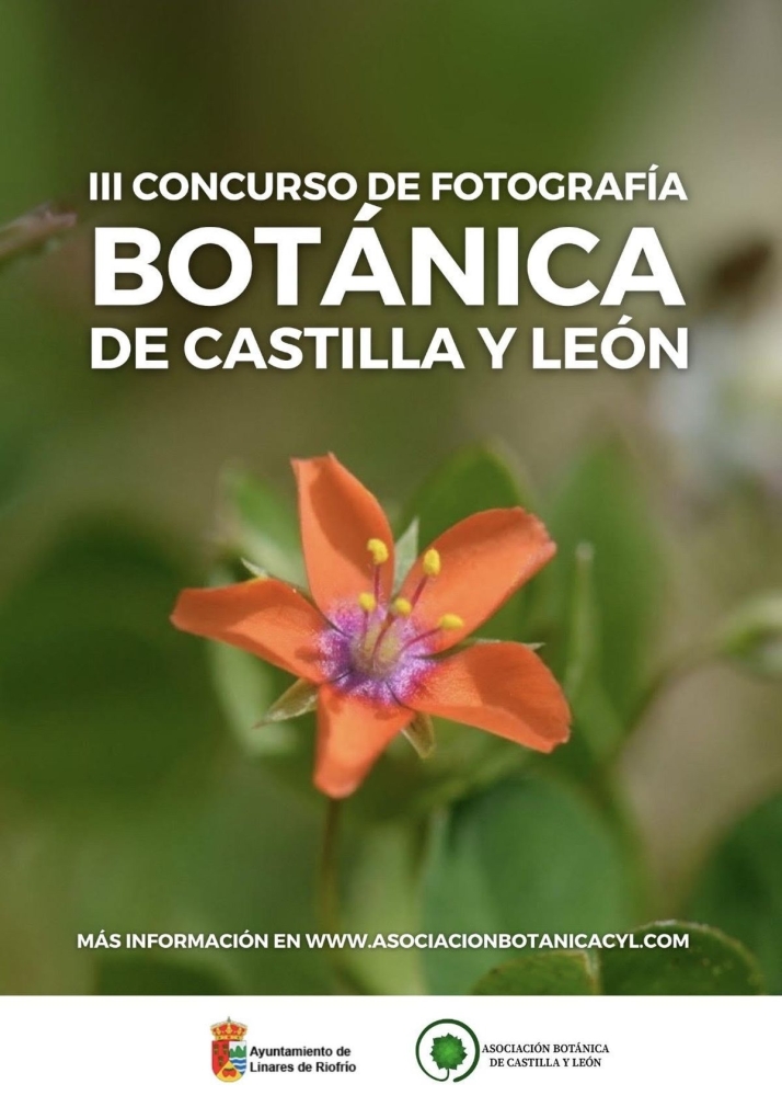 En busca de la mejor fotograf&iacute;a de la flora aut&oacute;ctona de Castilla y Le&oacute;n | Imagen 1
