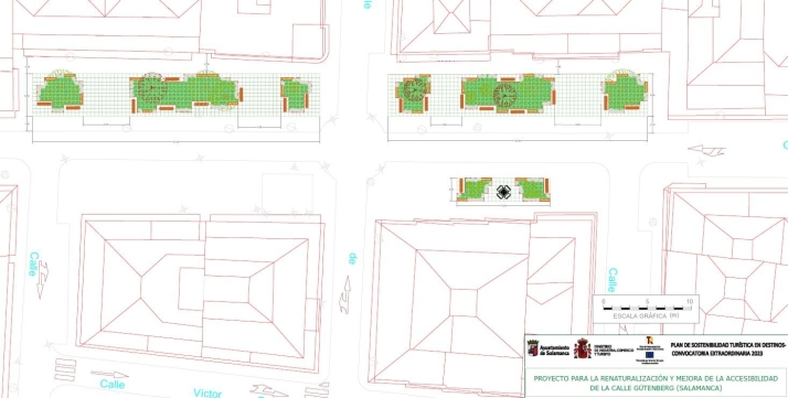 REPORTAJE | Salamanca refuerza su apuesta verde para &quot;introducir la naturaleza en el entorno urbano&quot; | Imagen 5