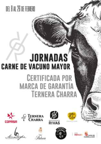 Cita gastron&oacute;mica: Ternera Charra y Restaurante Rivas presentan sus Jornadas de Carne de Vacuno Mayor | Imagen 1