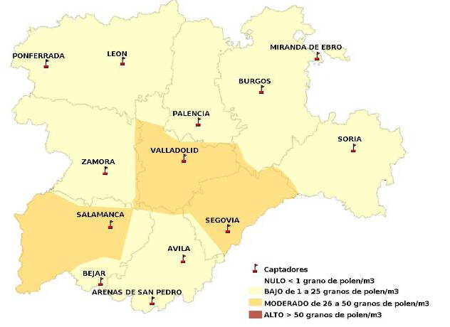 As&iacute; ser&aacute; la primavera en Salamanca: polen durante m&aacute;s tiempo y con s&iacute;ntomas m&aacute;s persistentes | Imagen 2